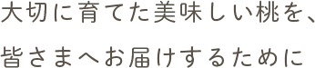 大切に育てた美味しい桃を、皆さまへお届けするために